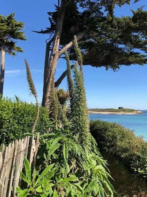 Ferienhaus Villa Maison De Vacances Presqu'Ile Ste Marguerite Landéda Frankreich